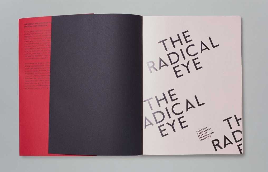 Книга The Radical Eye