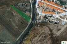 Terreno rustico com pomar