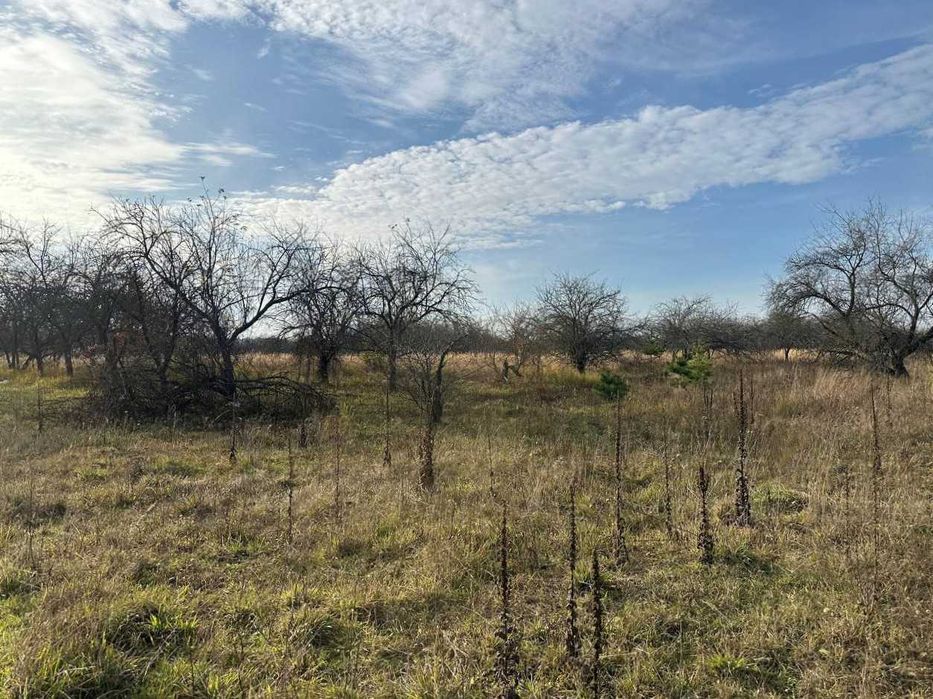 Продаж ділянки 10 соток під забудову. Біля лісу.Зручний під'їзд.ID:728