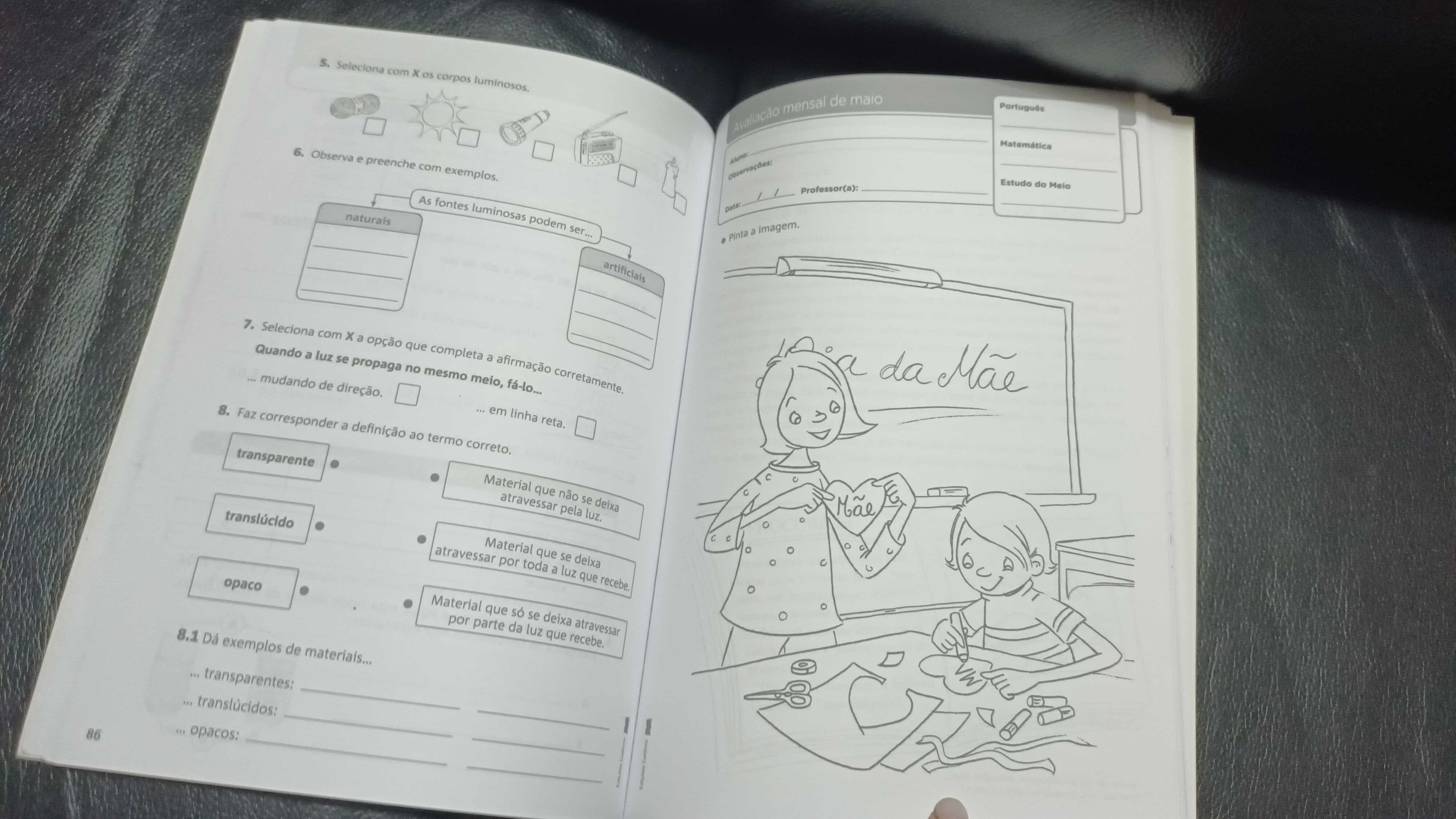 Fichas de avaliação mensal 3  ano