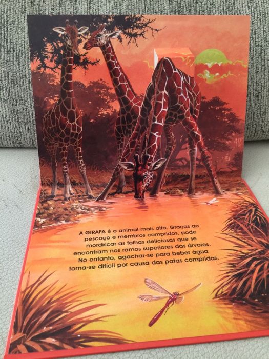 Livro Infantil Animais de Safari