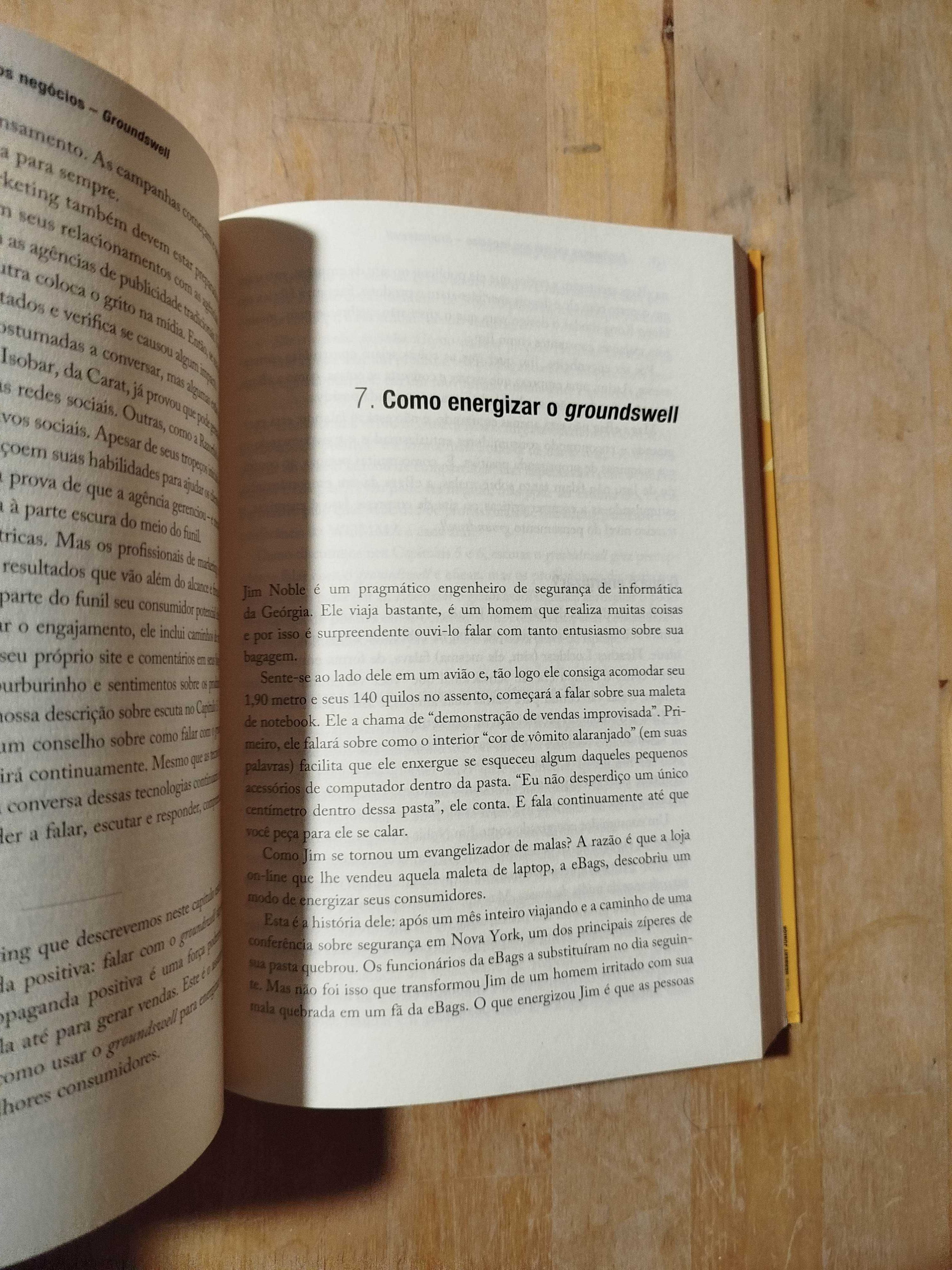 Fenomenos Sociais nos Negócios de Josh Bernoff e Charlene Li