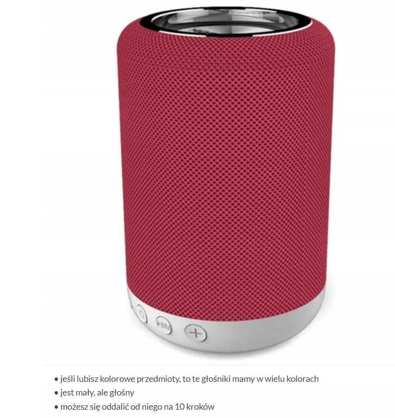 Głośnik bezprzewodowy HORESTAR H34 przenośny bluetooth FM BARDZO MOC