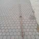 Scisk stolarski  PRL