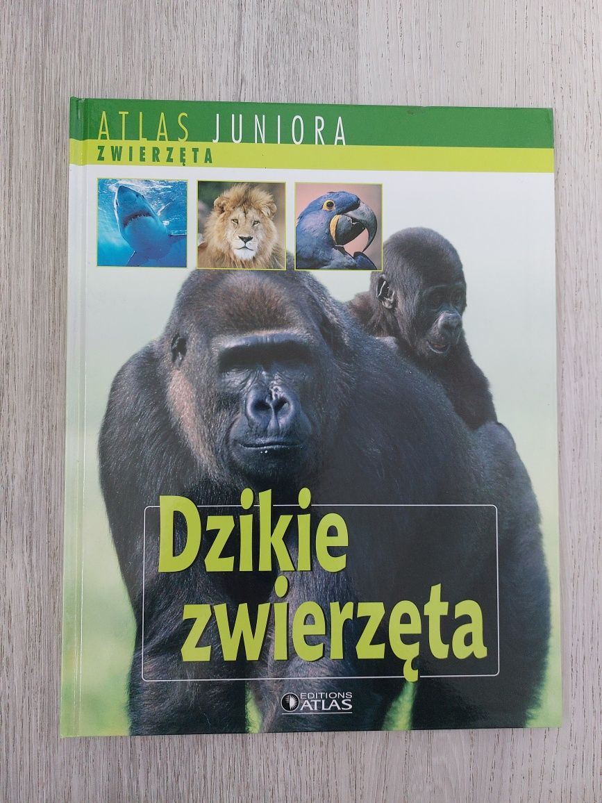 Atlas Juniora - Zwierzęta- 6 zł