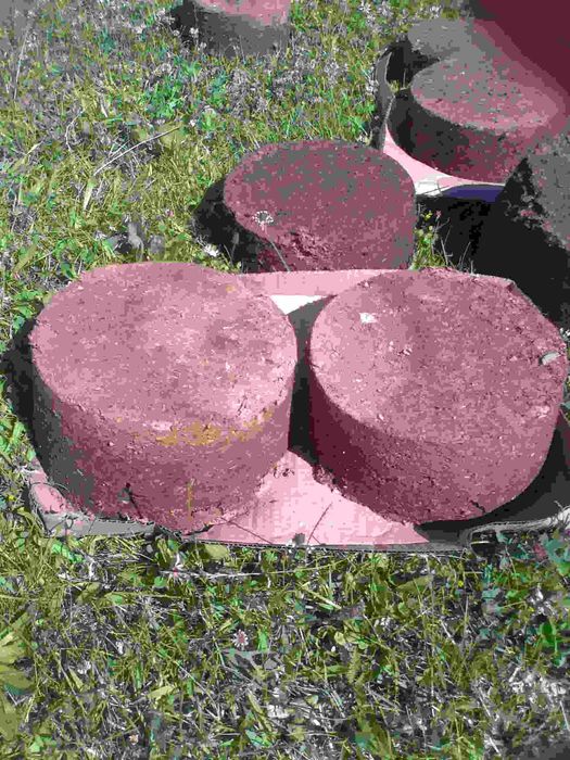 dzdzownice kalifornijskie bursztynowe 400 szt