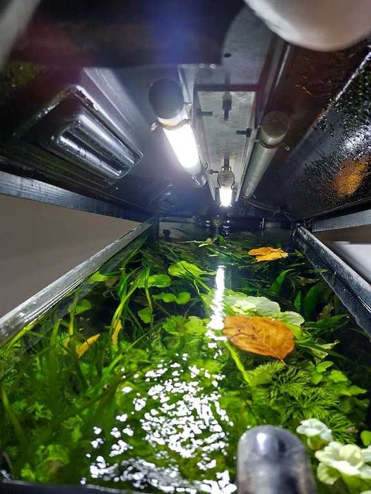 Sprzedam akwarium 112 l (80x35x40)