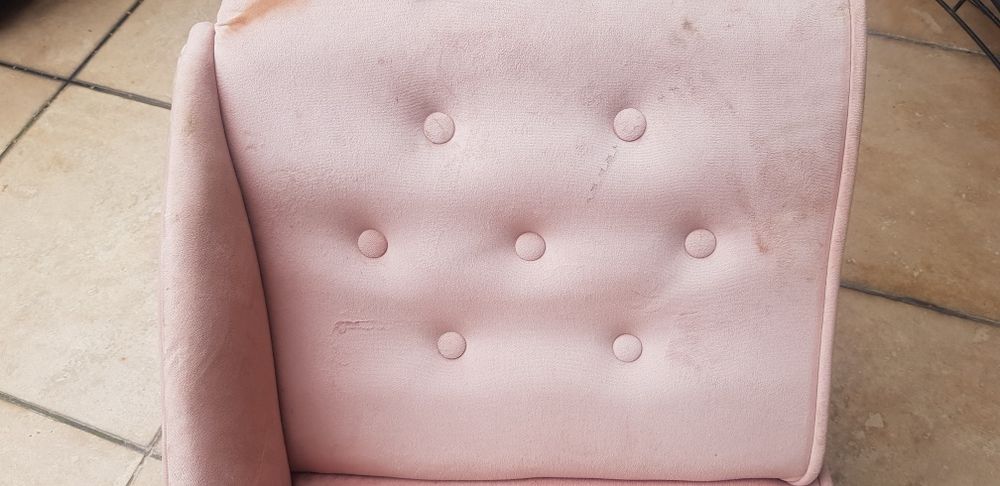 Szezlong dla psa lub kota do renowacji