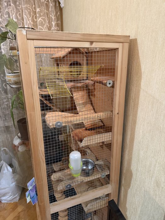 Клітка вітрина для дегу