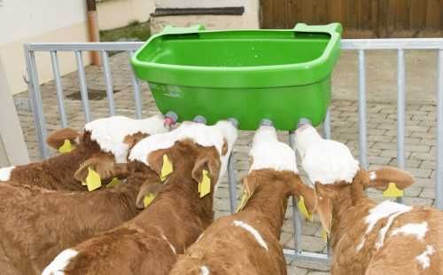 Poidło dla cieląt z zaworami i gumowymi smoczkami