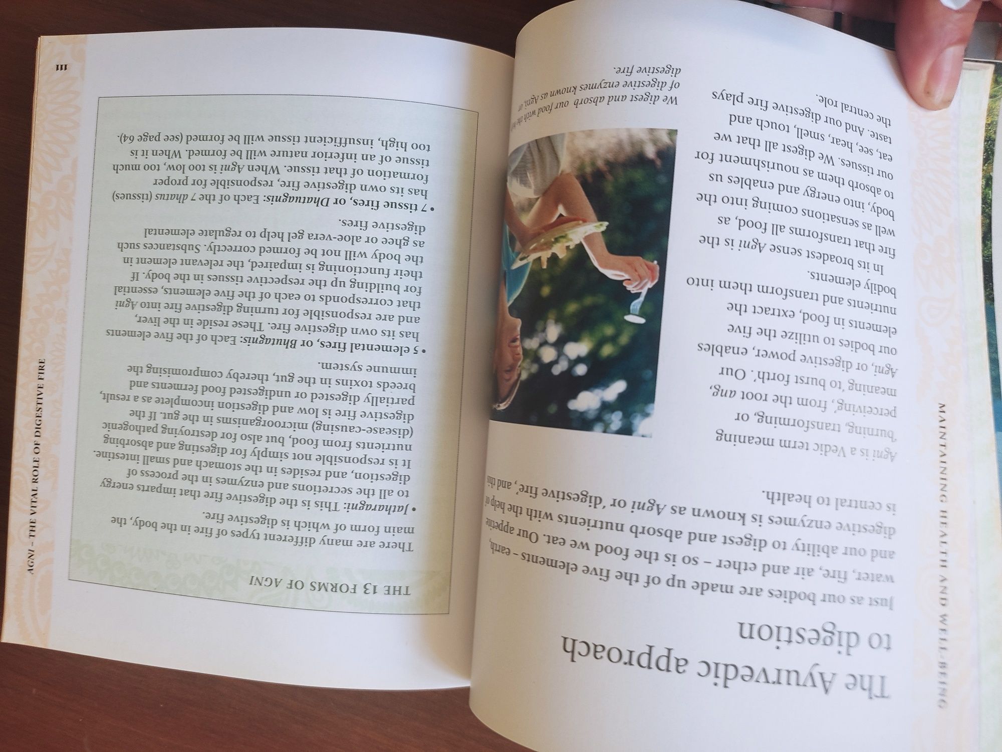 The ayrveda bible