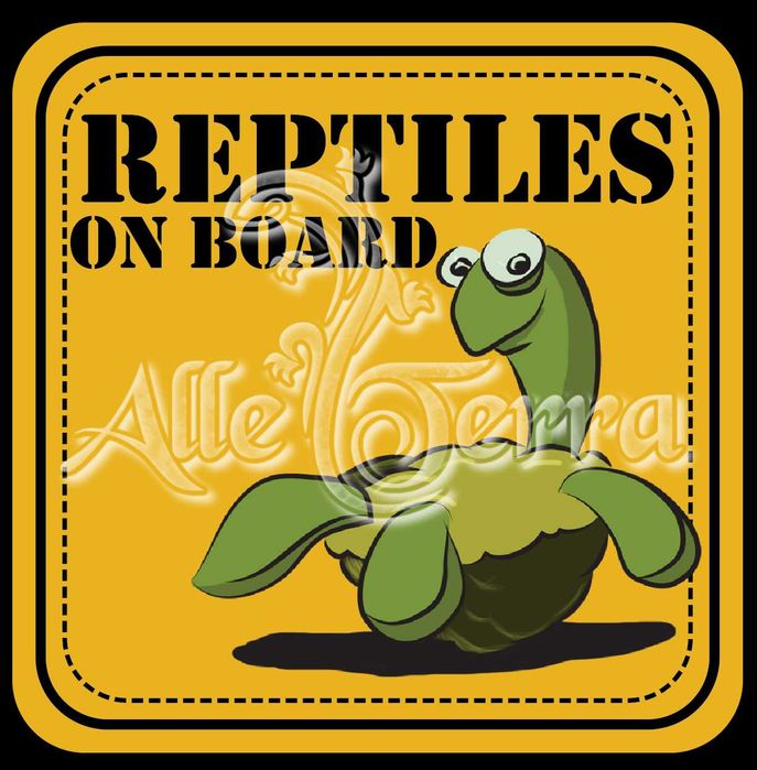 Naklejka Terrarystyczna Żółw