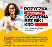 Rozwiązania w zakresie pożyczek prywatnych dostępne bez BIK i KRD