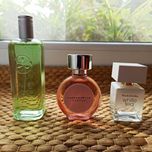 Elizabeth Arden, Rochas, Yves Rocher