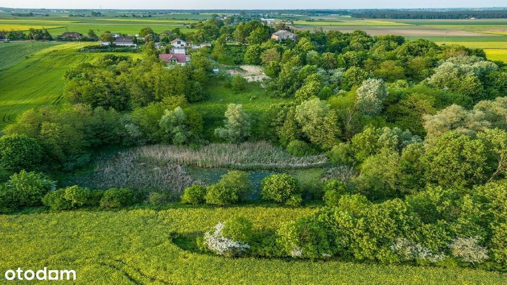 Świetna oferta z okazji Świąt tylko do końca roku!