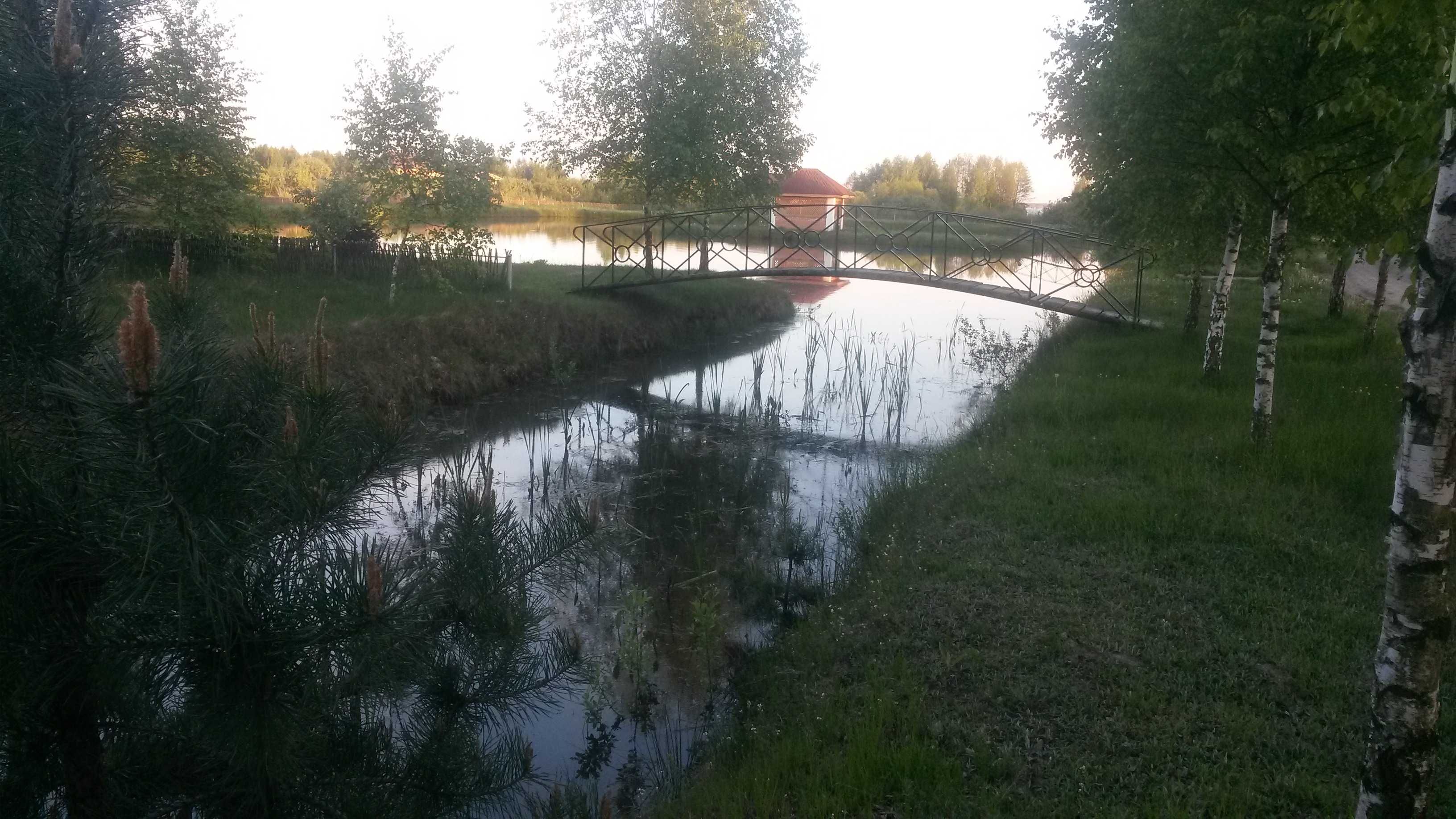 Продам дачу Світязь, Шацьк (Іллічівка)
