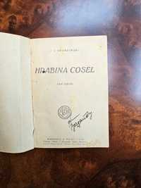 J. I. Kraszewski, Hrabina Cosel Tom 2 1925