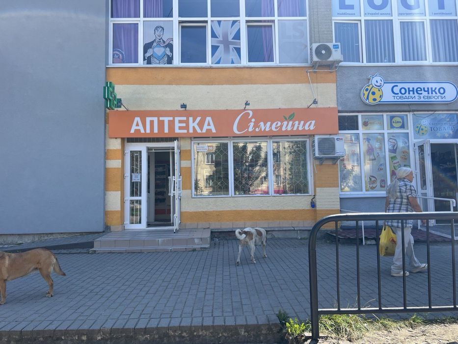 Оренда приміщення м. Новий розділ центр міста