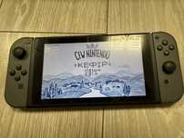 Nintendo Swtich V2 (Kefir) 256 gb