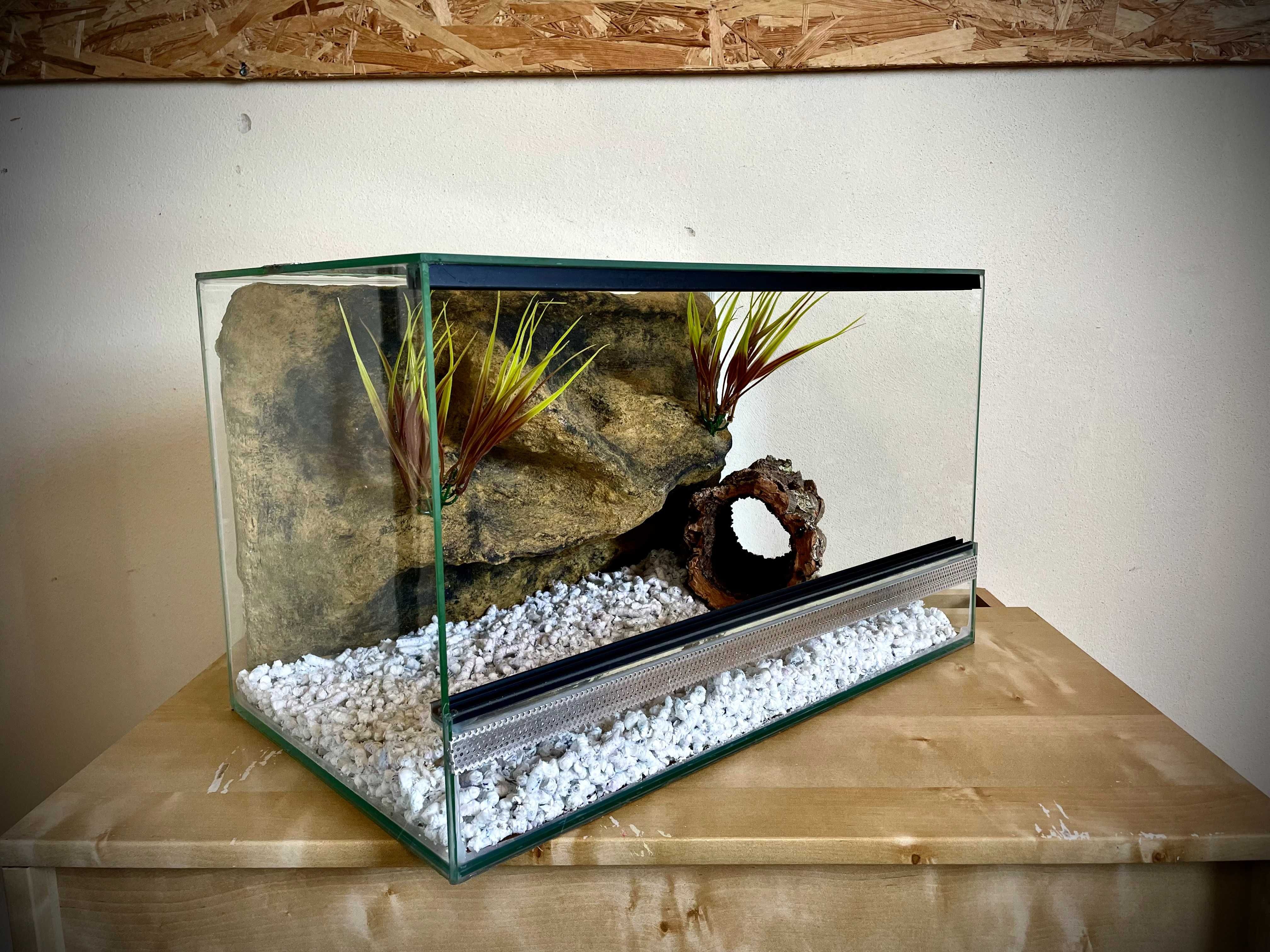 Terrarium szklane z pustynnym wystrojem 50x30x30 cm. AlleTerra