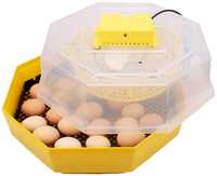 Nowy Inkubator Cleo 5 60 jaj wylęgarka klujnik WYSYŁKA CAŁA POLSKA