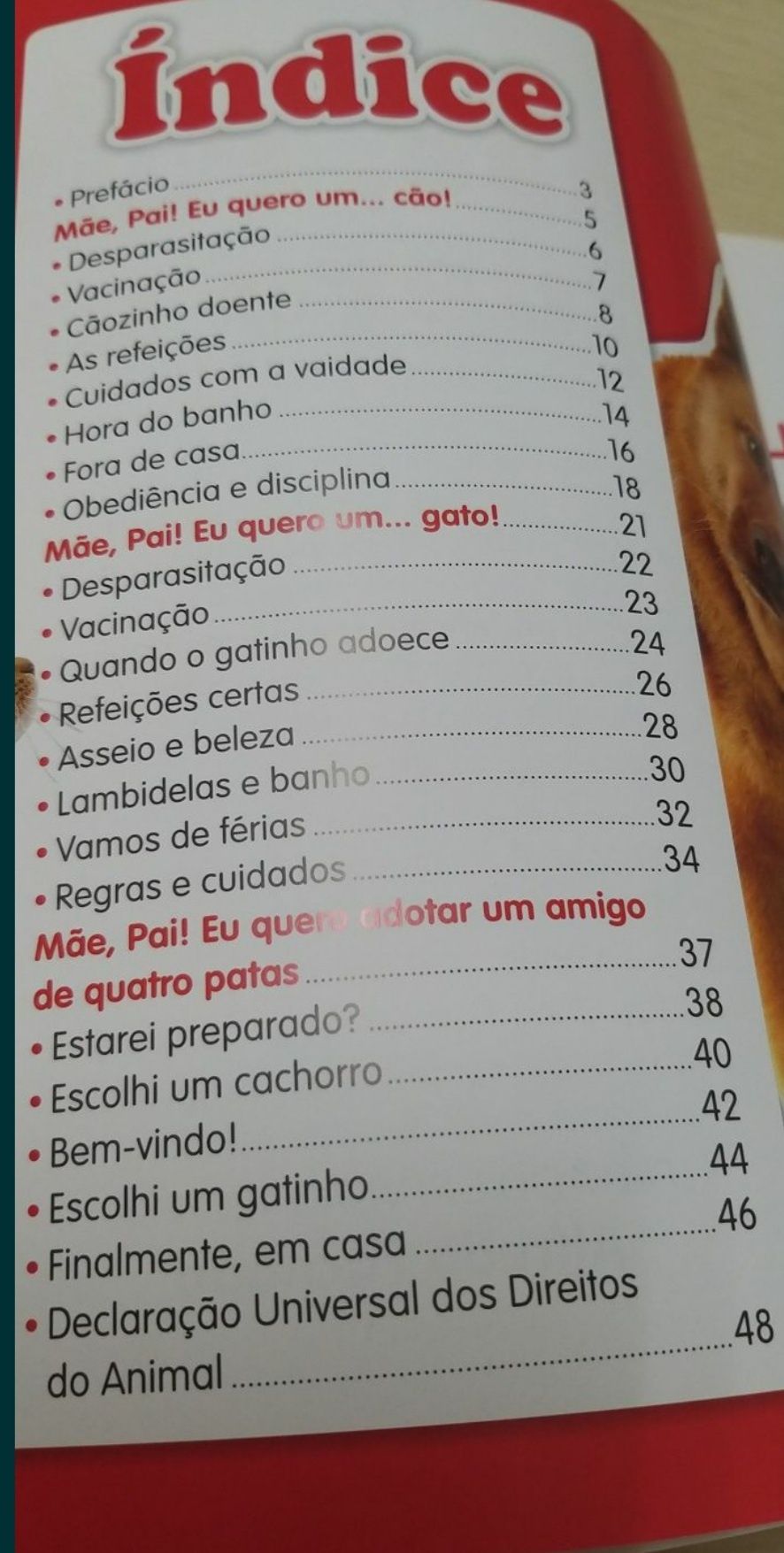 Mãe, Pai! Eu Quero Um...