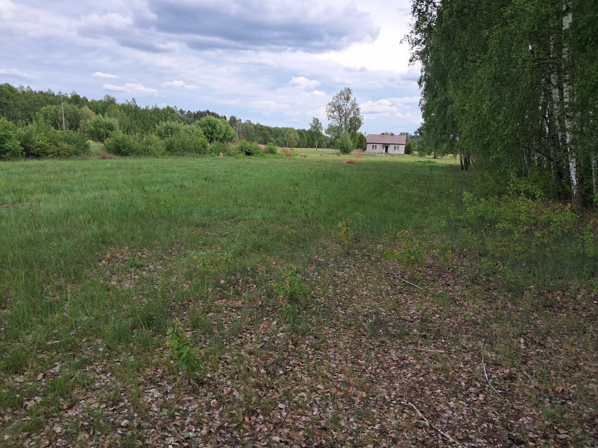 Sprzedam działki