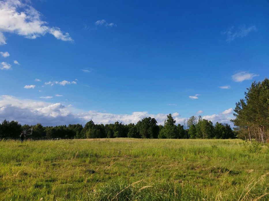 Działka budowlana - 500m od jeziora przy lesie!