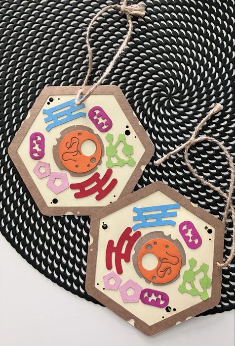 Modele komórek wykonane z tektury