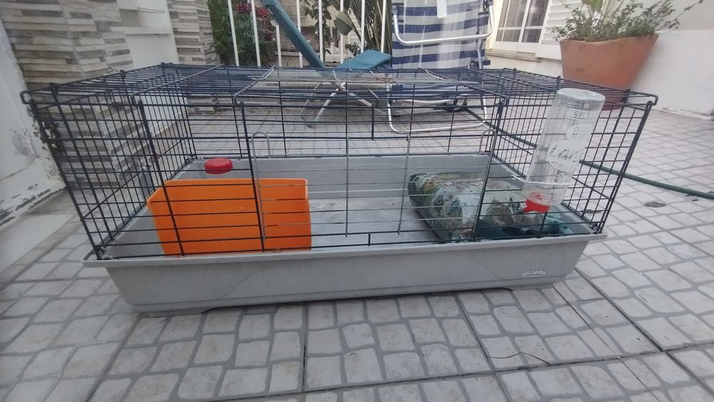 Gaiola para coelho / roedores