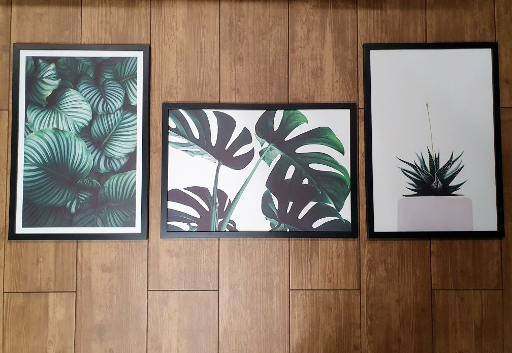 .:Zestaw Obrazów o tematyce Liście Monstera:.