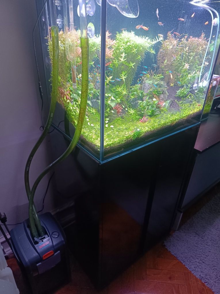 Aquário 160 litros como novo sem um único risco tem um ano, completo.