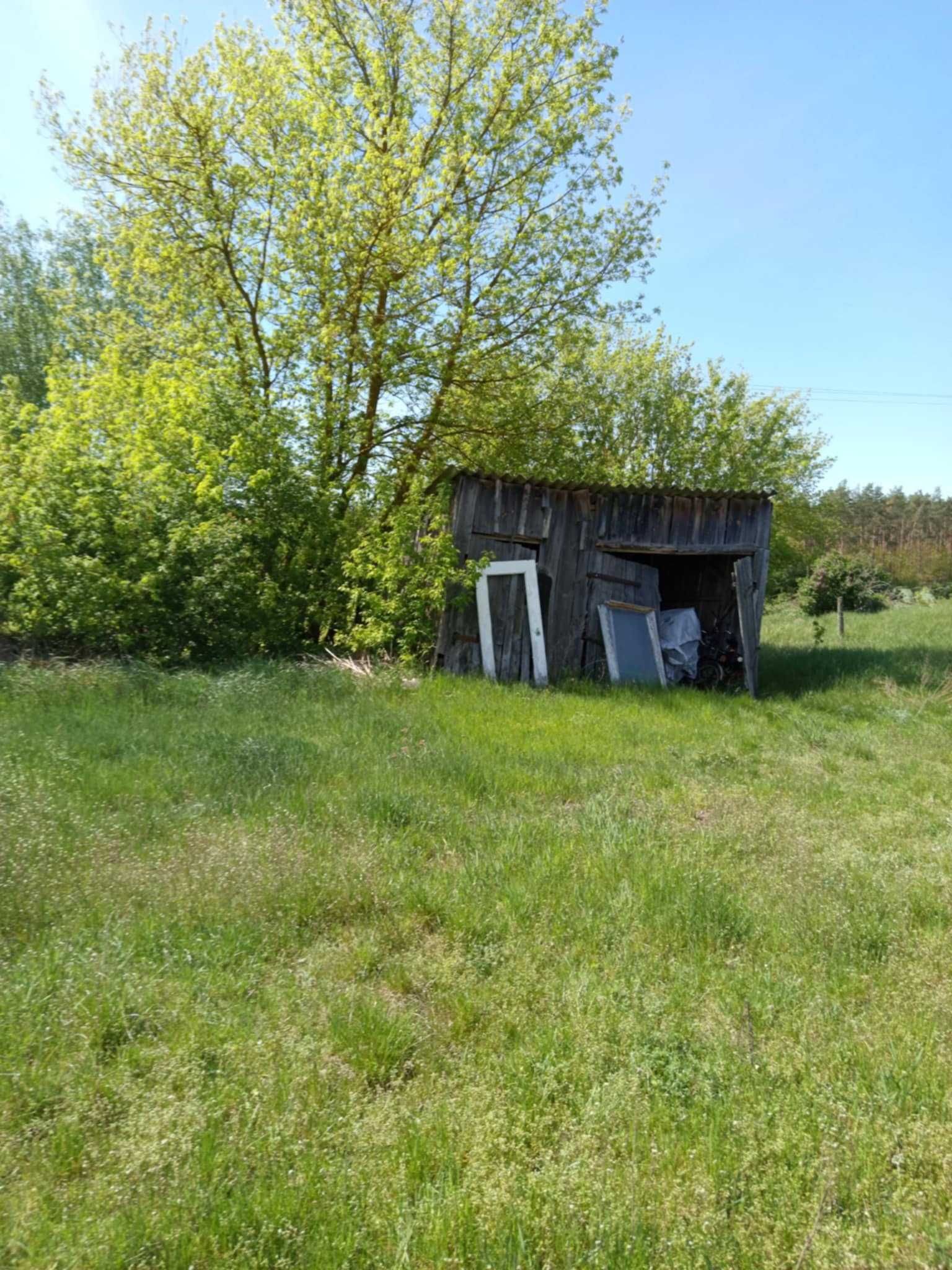 Sprzedam dom z siedliskiem