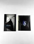 2 livros Helena Almeida Inside Me 2009 e Aprender a ver 2005