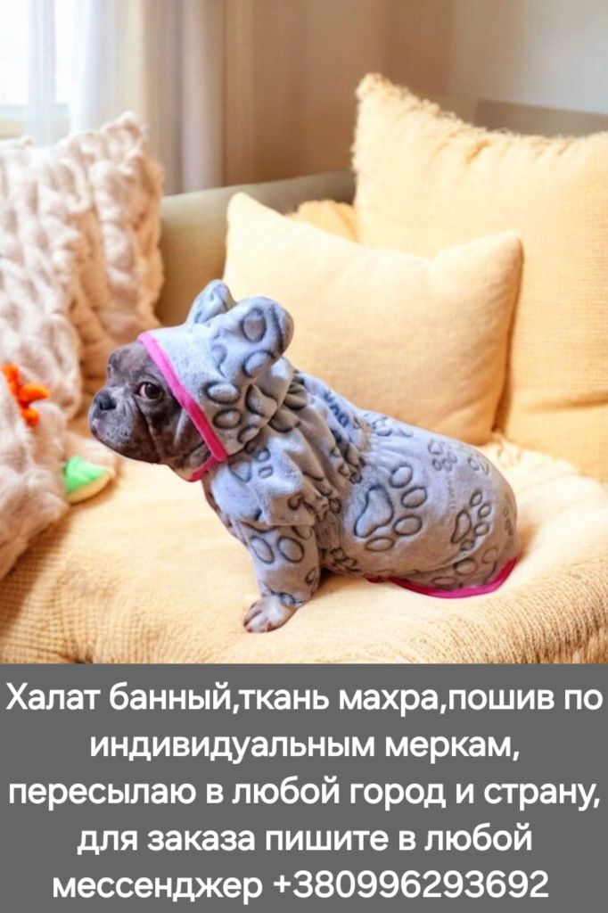 Одежда для собак