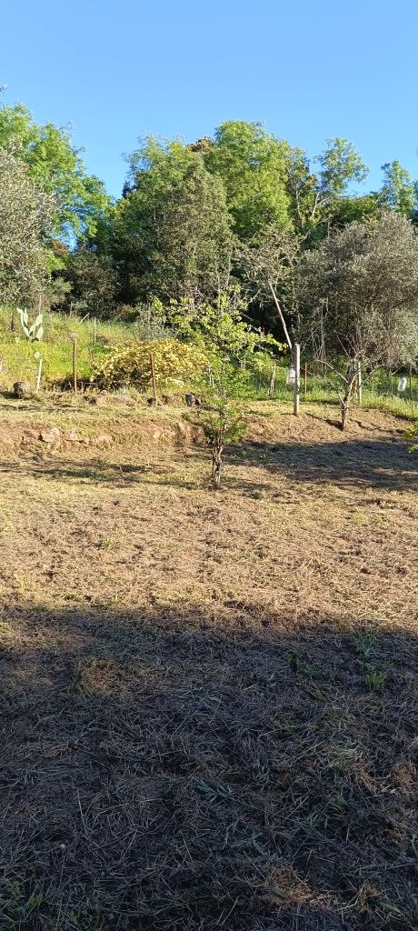 Terreno com 2,500m2 aldeia de santa Margarida castelo branco