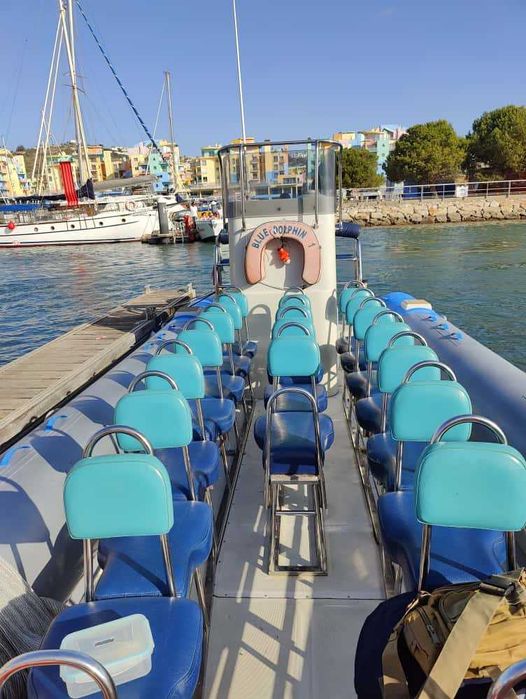 Semirrígido 9m CAPELLI + XTO 425