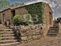 Quinta de Turismo Rural - Douro Sul - Moimenta da Beira -...