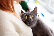 Чарівний котик шукає родину