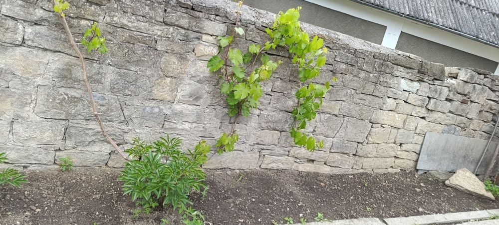 Продається природній бутовий камінь