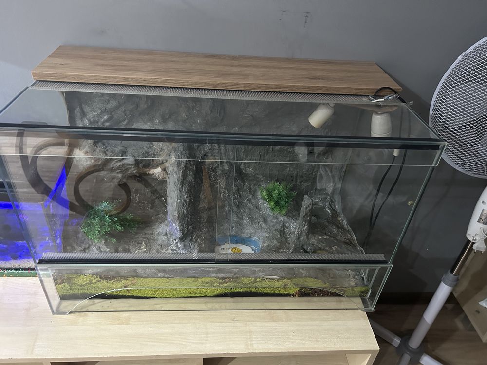 Terrarium uzywane