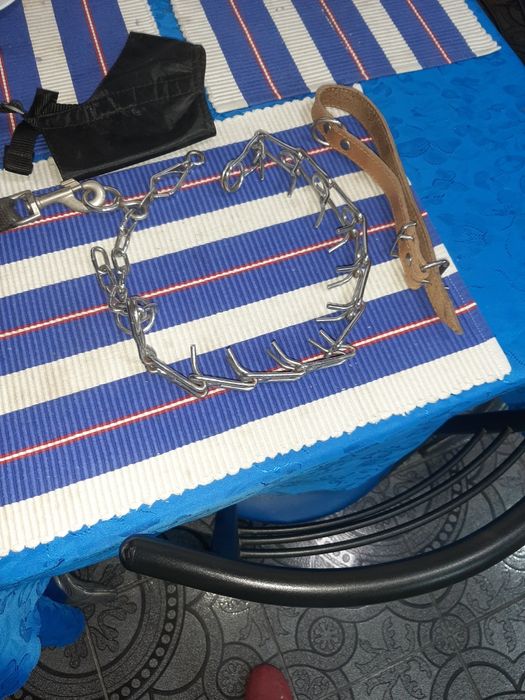 Продаю ошейники для собаки