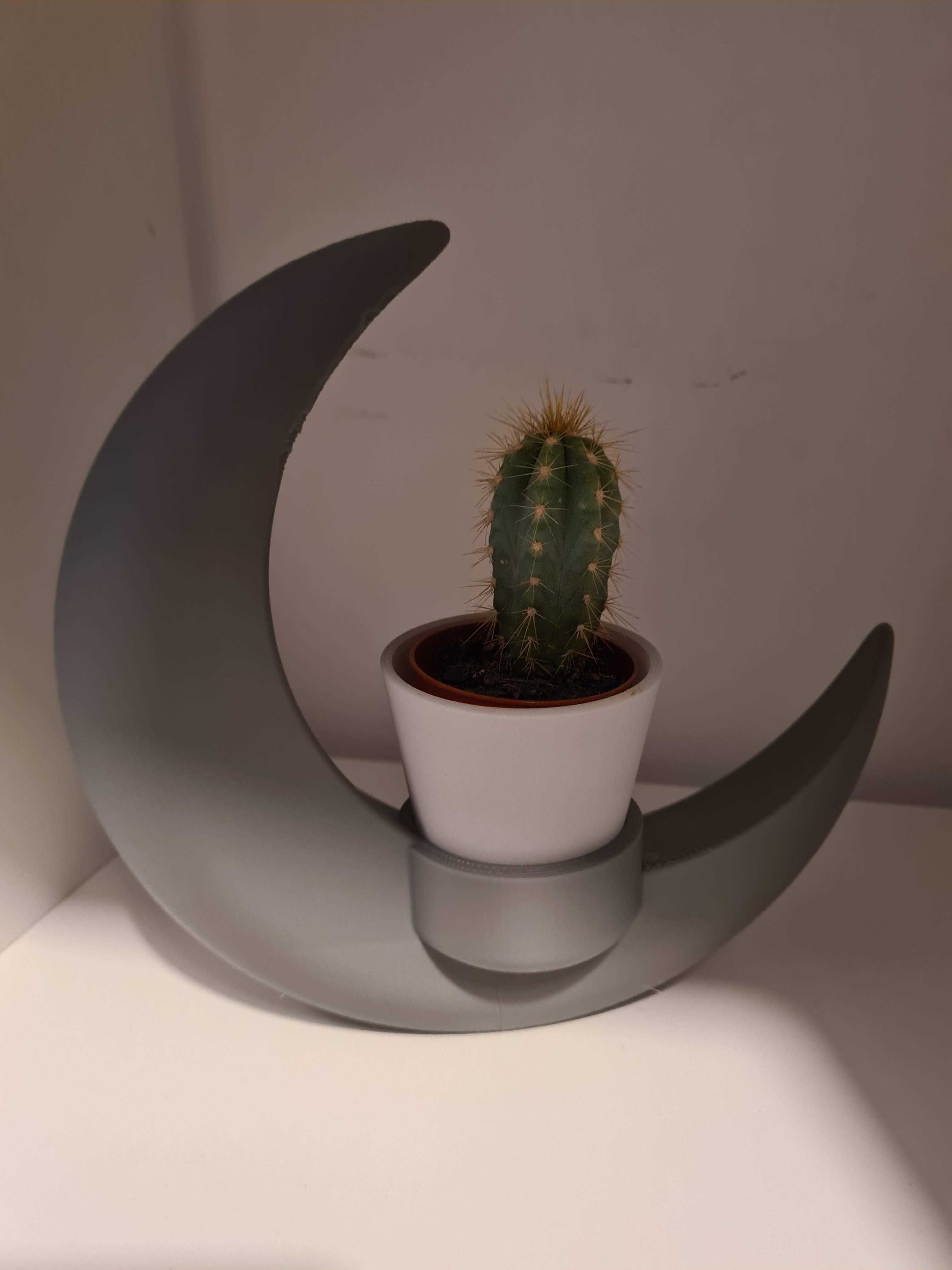 Decore a sua casa com este objeto unico em forma de lua.