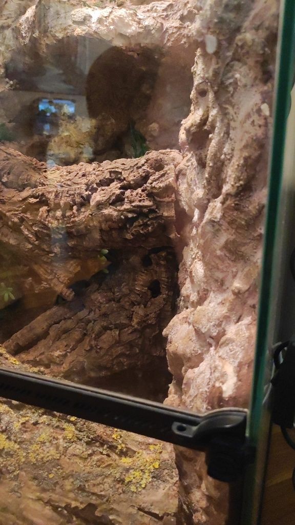 Terrarium szklane IG REPTI z wyposażeniem dla kameleona , gekona  itp