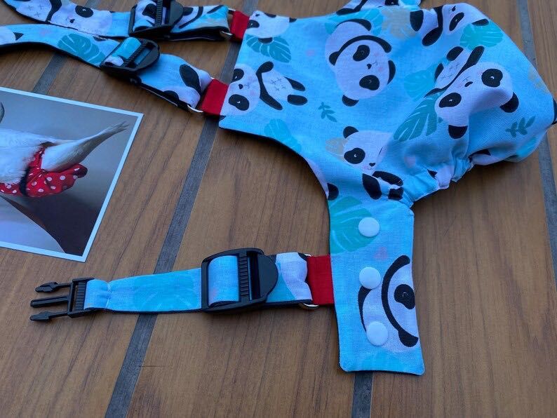 памперс для гуся, підгузок для качки