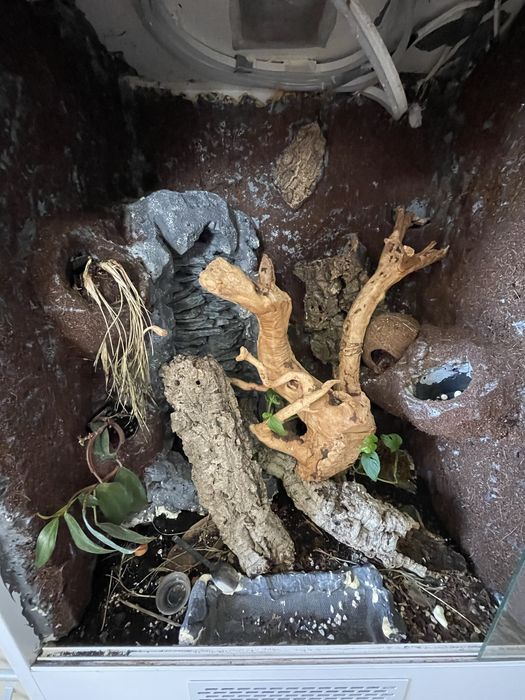 Podwojne terarium + pelne wyposazenie pod jaszczurki  !