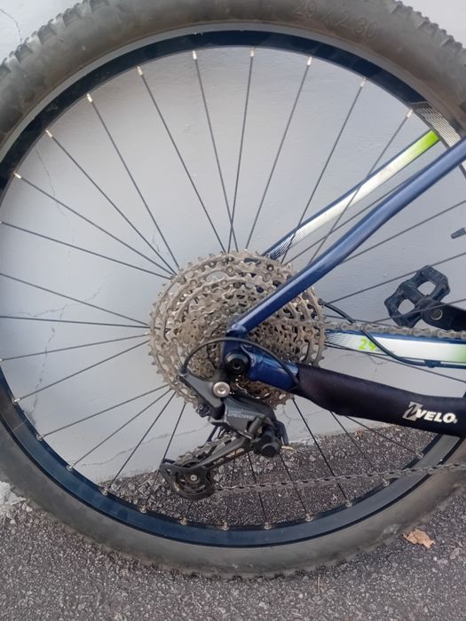 André Loureiro pinto