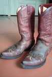 Sendra texanas 37