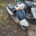 Пластик Honda Tact 51 разборка