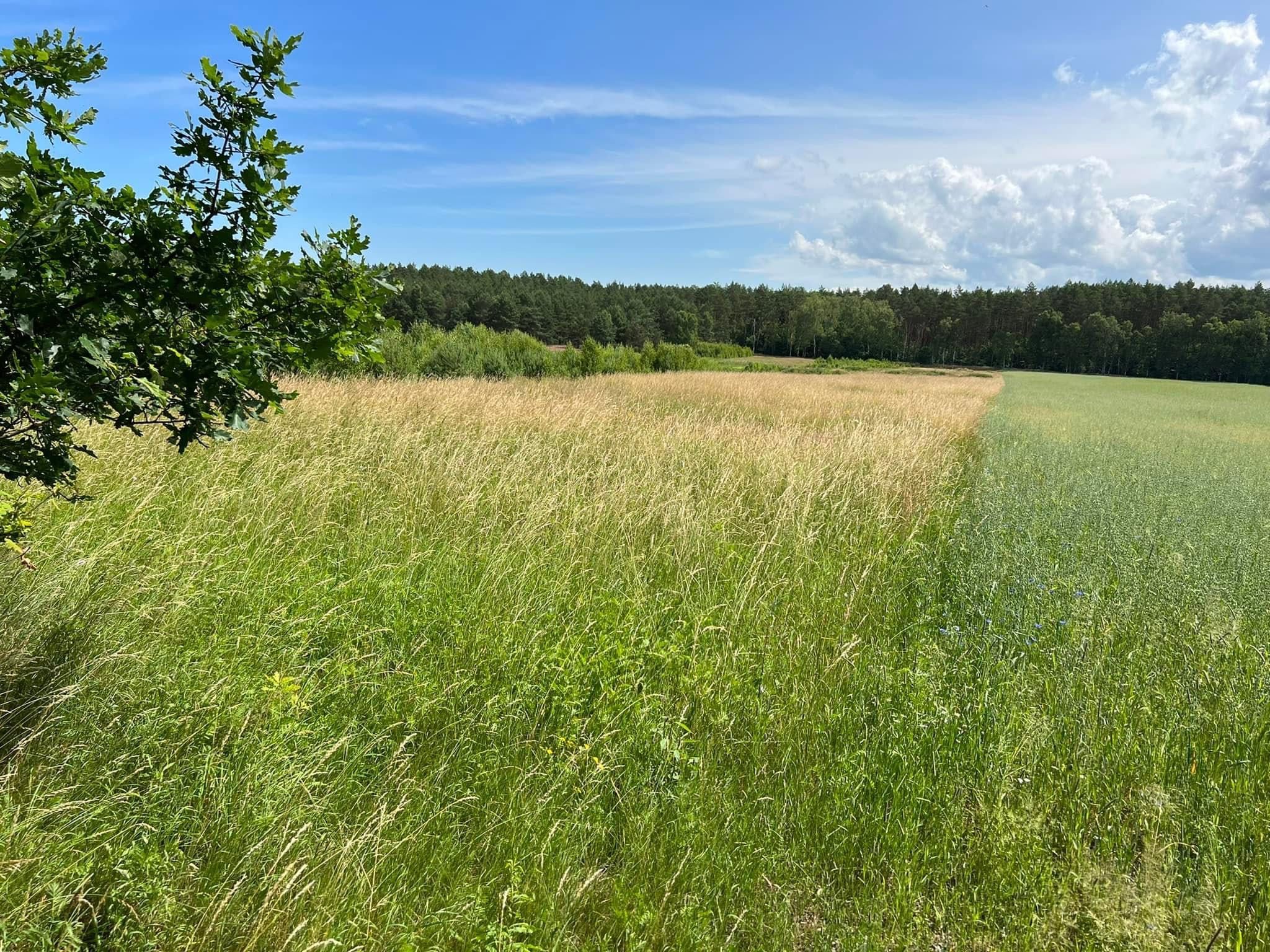 Działka Budowlana 6 km od Pobierowa